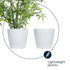 Plastic Plant Pot with Wave Design 18cm White  - Set of 2