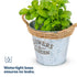 Round Zinc Plant Pot 16cm with Hessian Handle - Set of 3