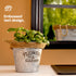 Round Zinc Plant Pot 16cm with Hessian Handle - Set of 3
