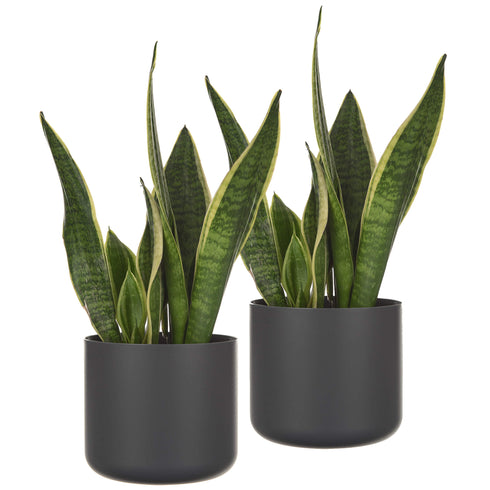14cm Round Plant Pot Set of 2 - Matt Grey
