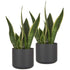 14cm Round Plant Pot Set of 2 - Matt Grey
