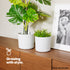 18cm Round Sandstone Plastic Plant Pot White - Set of 2