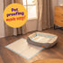 Puppy Dog/Kitten Toilet Training Pads - Pack of 50 Medium