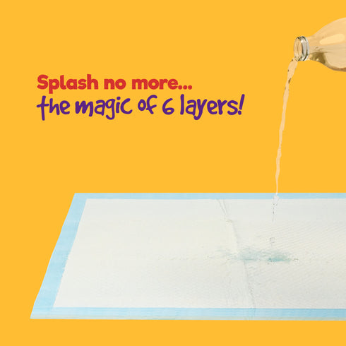 Puppy Dog/Kitten Toilet Training Pads - Pack of 50 Medium