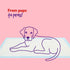 Puppy Dog/Kitten Toilet Training Pads - Pack of 50 Large