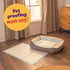Puppy Dog/Kitten Toilet Training Pads - Pack of 50 Large