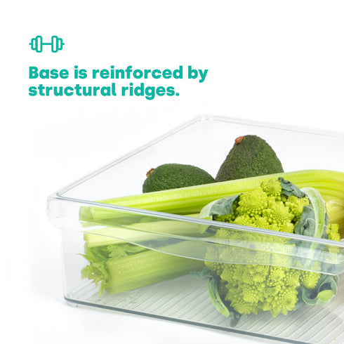 Fridge Storage Container - XL