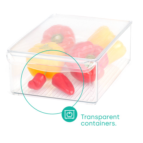 Fridge Storage Container - L