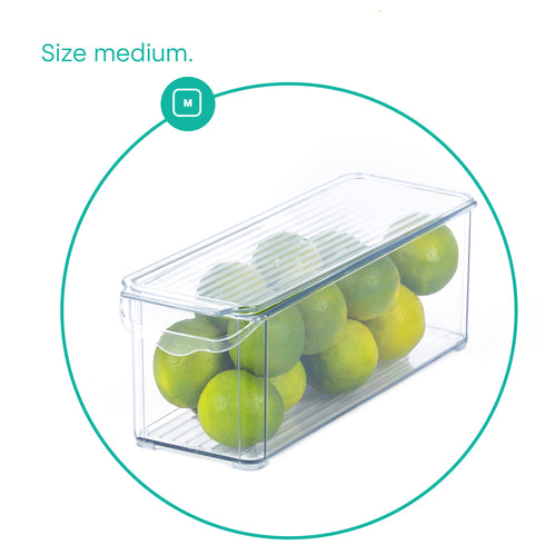 Fridge Storage Container - M