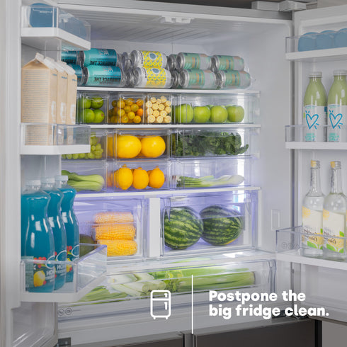 Fridge Storage Container - M
