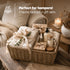 Seagrass Hampers Set of 4