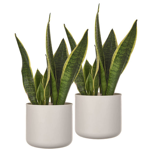 14cm Round Plant Pot Set of 2 - Matt White