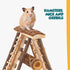 Petlicity Hamster Wooden Climbing Wall