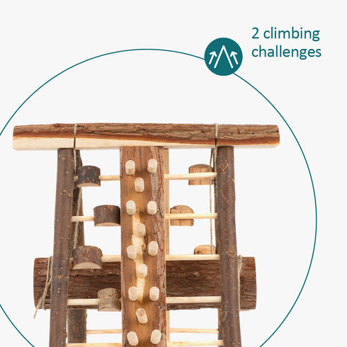 Petlicity Hamster Wooden Climbing Wall