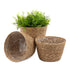 22cm Large Seagrass Plant Pots Set of 3