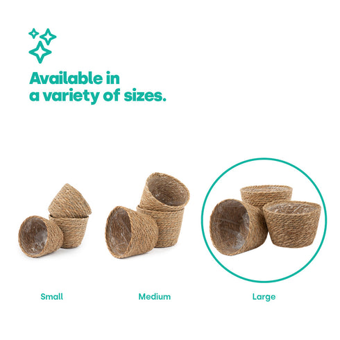 22cm Large Seagrass Plant Pots Set of 3