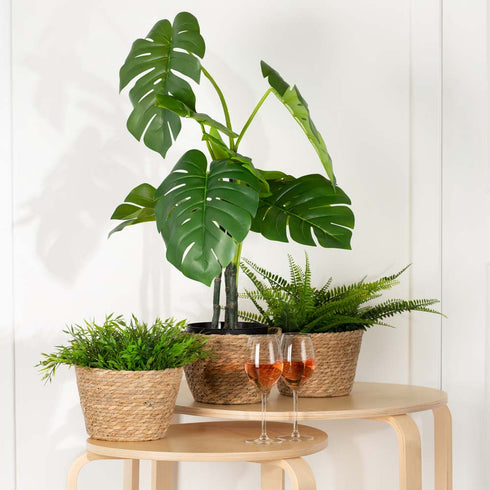 22cm Large Seagrass Plant Pots Set of 3