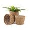 14cm Small Seagrass Plant Pots Set of 3