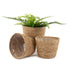 14cm Small Seagrass Plant Pots Set of 3