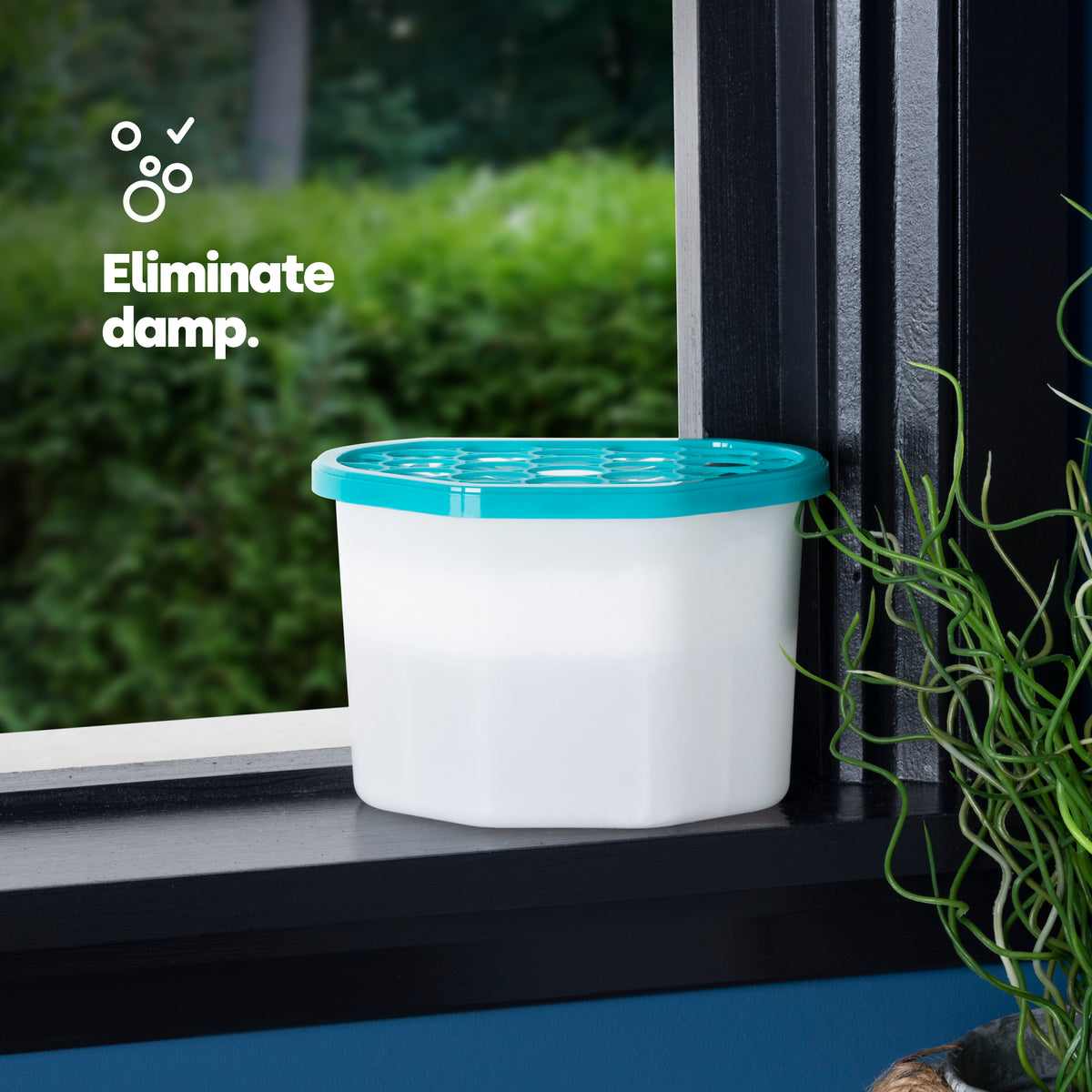 Livivo 10 Disposable Dehumidifiers 500ml Free Delivery