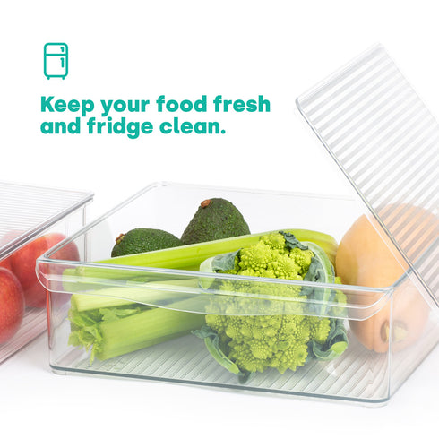 Fridge Storage XL Containers Set of 2