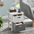 Nina 2 Drawer Storage Unit - White/Grey